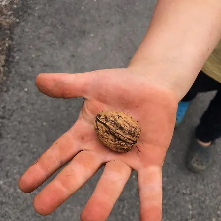 Casa Do Papillon Διαμέρισμα Mata de Cima