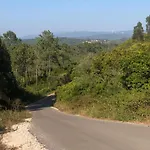 아파트 Casa Do Papillon Mata de Cima