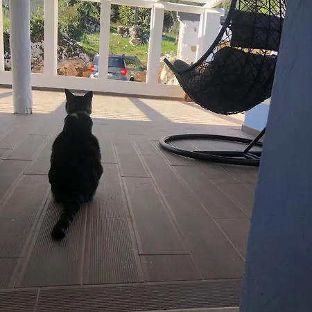 Casa Do Papillon Daire Mata de Cima