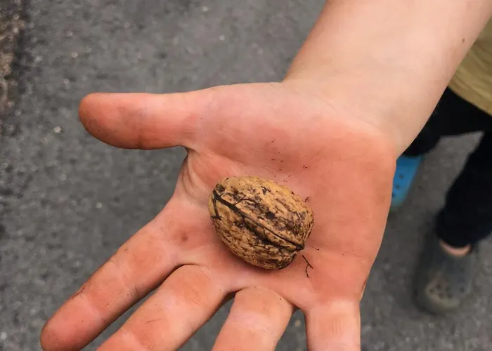 Casa Do Papillon アパート Mata de Cima