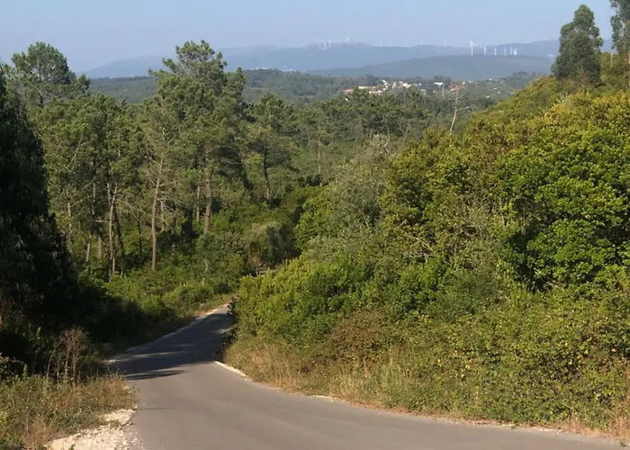 アパート Casa Do Papillon Mata de Cima