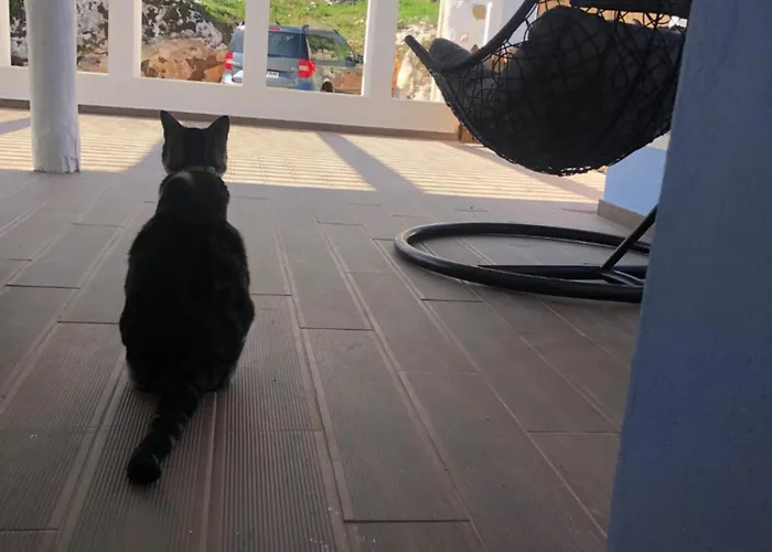 Casa Do Papillon アパート Mata de Cima